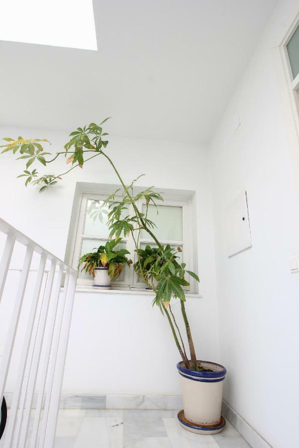 Apartamento Centro San Luis Sevilla Buitenkant foto